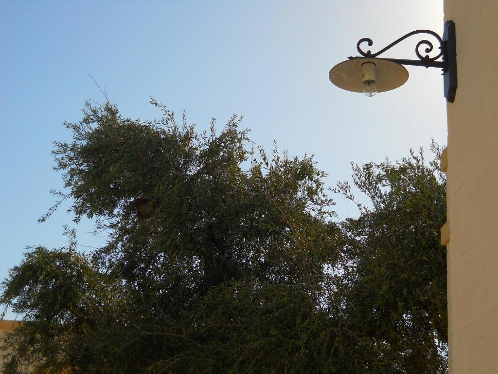 Masseria De Michele Montalbano  Exterior photo